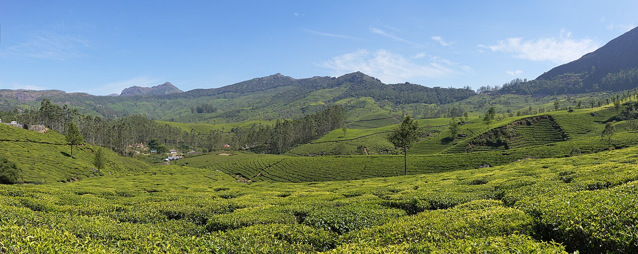Agricultural Project